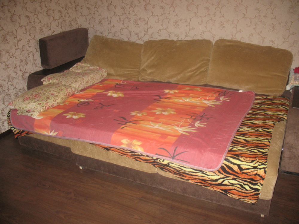 1-комнатная квартира Кагана 19 в Воскресенске - фото 2