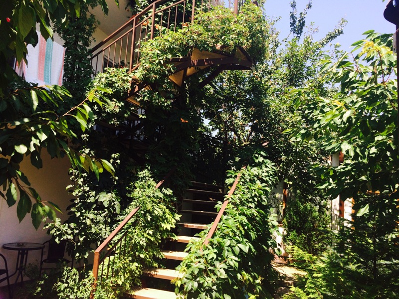 "Зеленый дворик" гостевой дом в Кабардинке - фото 8