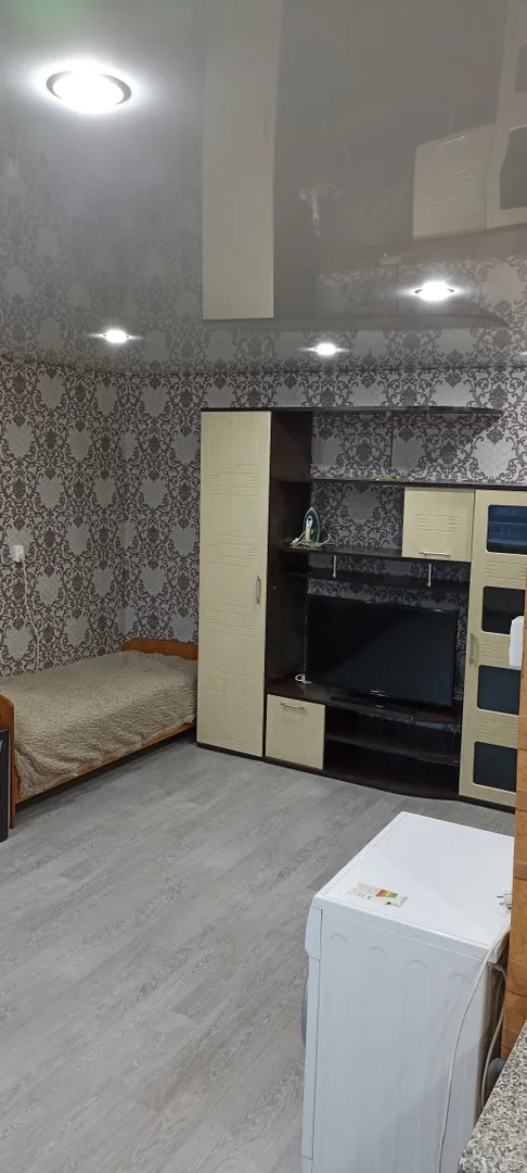 "Уютная после ремонта" квартира-студия в Чернышевске - фото 8