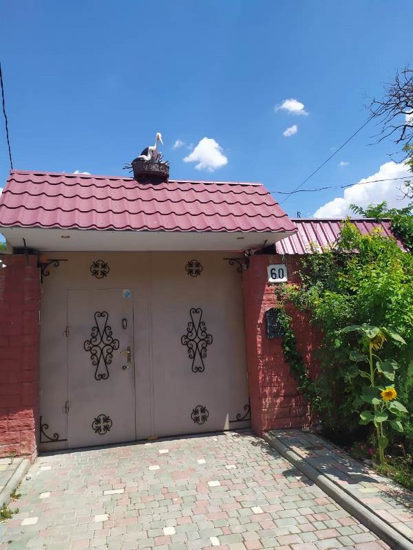 "Аист на крыше" гостевой дом в Евпатории - фото 1
