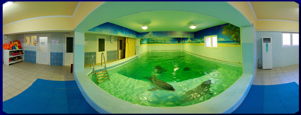 "Дельфин" отель в Лазаревском - фото 14