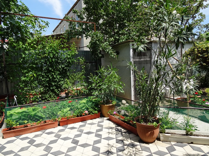 "Уютный дворик" гостевой дом в Судаке - фото 2