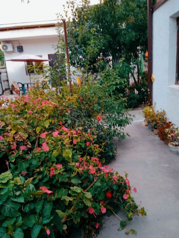 "У Саиды" гостевой дом в Сухуме - фото 4