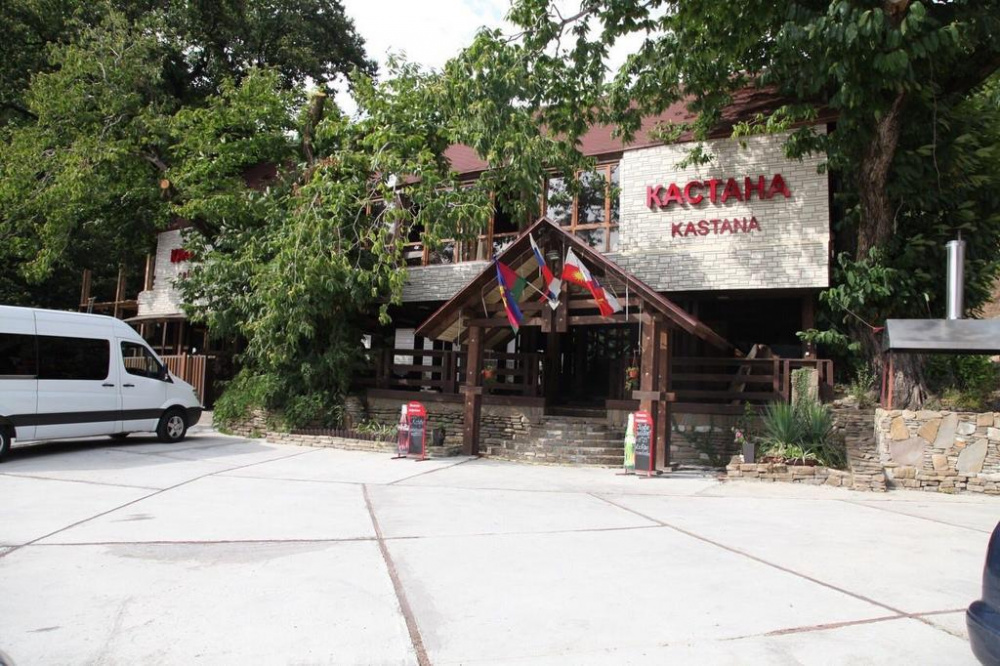 "Кастана" мини-гостиница в Красной Поляне - фото 1