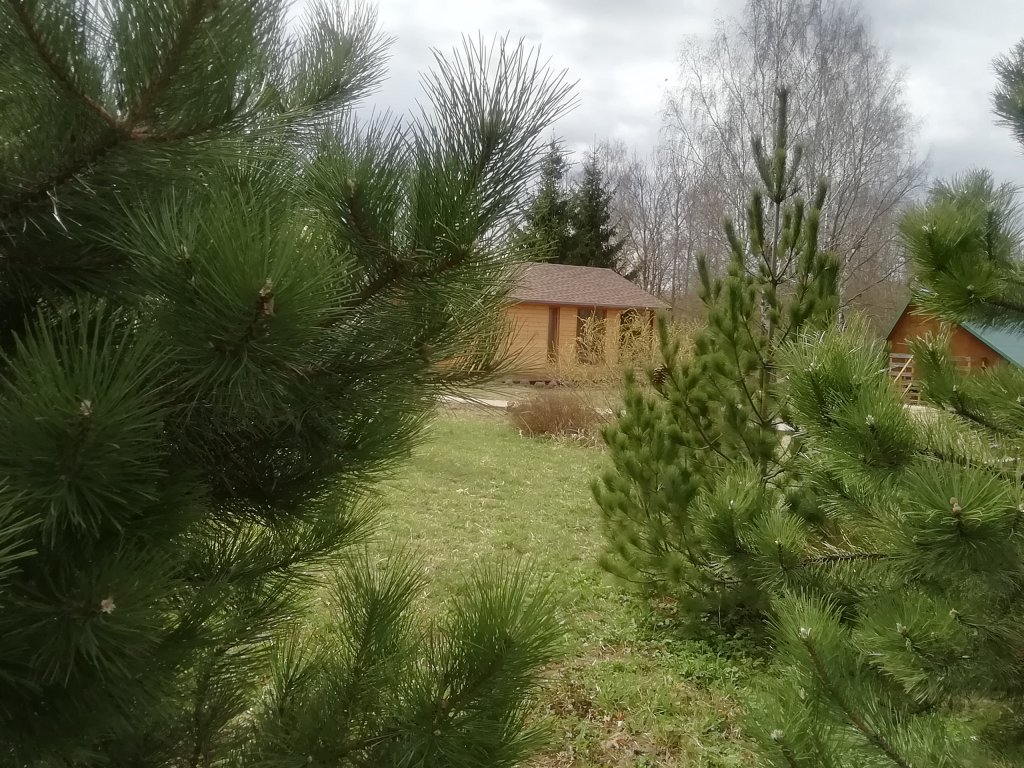 "Тихое счастье" гостевой дом в д. Богородицкое (Смоленск) - фото 2