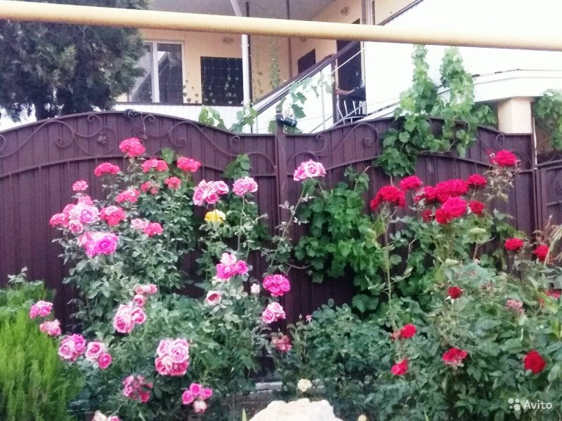 "Крымская Роза" мини-гостиница в Феодосии - фото 2