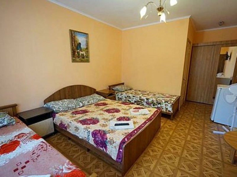 "Олеся" гостиница в Лазаревском - фото 40