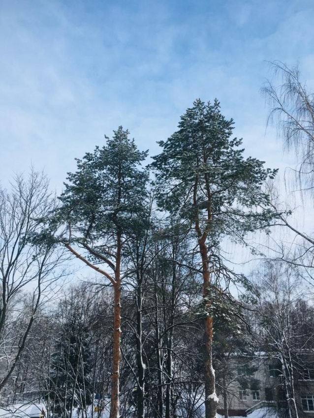 "Маленькая страна" 1-комнатная квартира в Нижнем Новгороде - фото 17