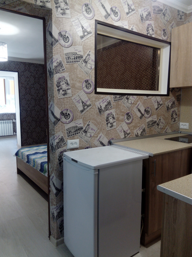 1-комнатная квартира Юлиуса Фучика 11 кв 24 (б) в Пятигорске - фото 8