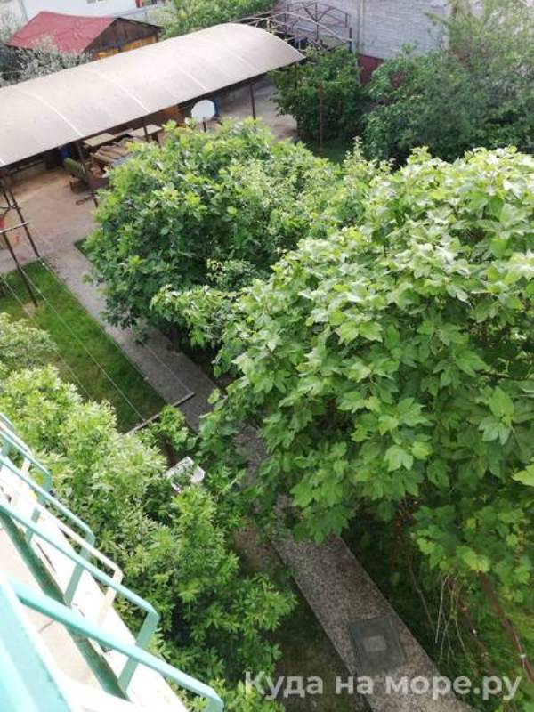 "Зелёный дворик" гостевой дом в Вардане - фото 7
