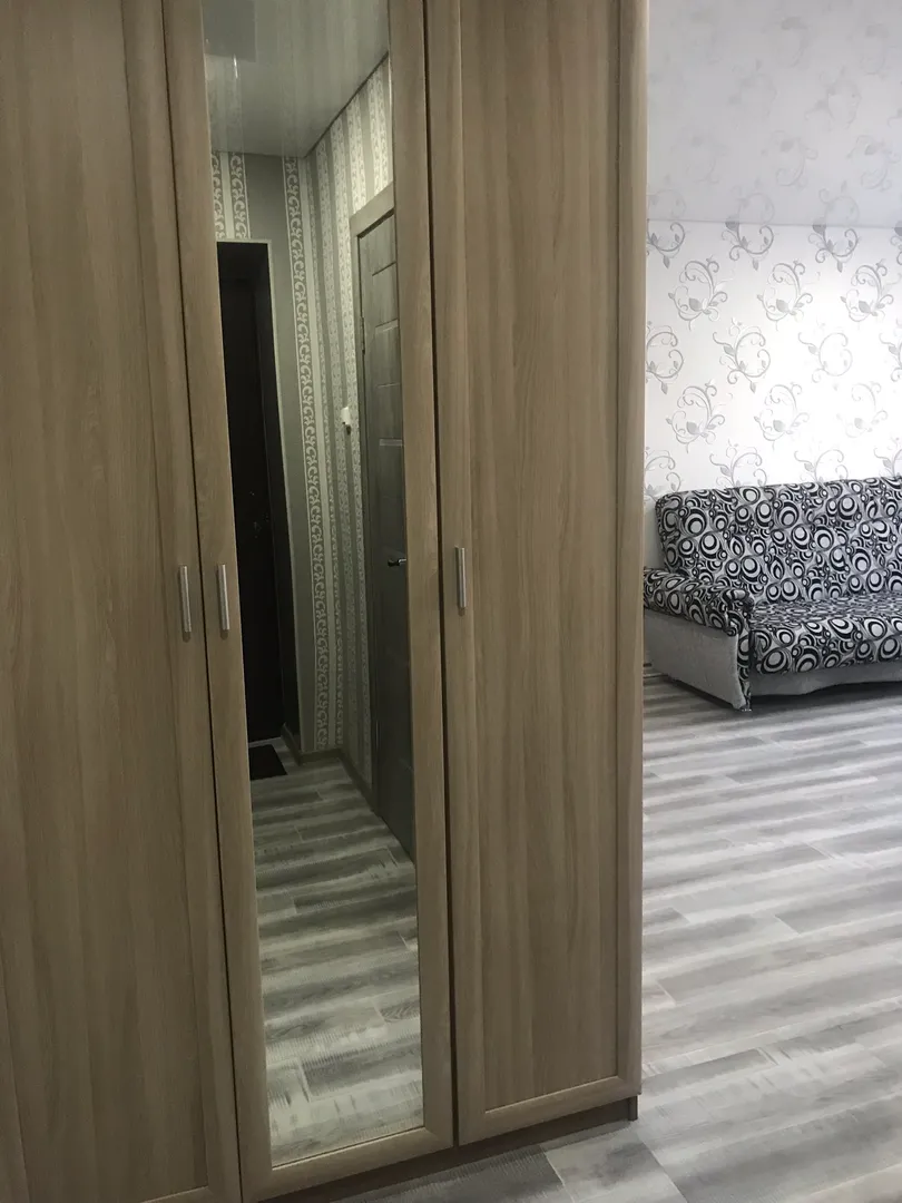1-комнатная квартира Журавлева 73 в Чернышевске - фото 3