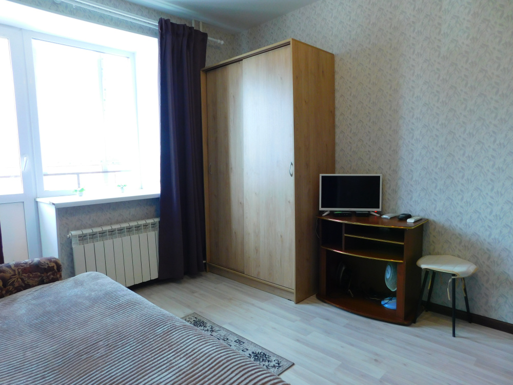"Двуглавый Бигль" 1-комнатная квартира в п. Придорожный (Самара) - фото 4