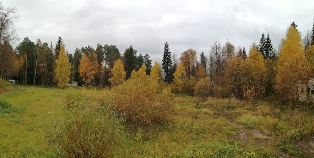 "Тихий лес" кемпинг в Ижевске - фото 13
