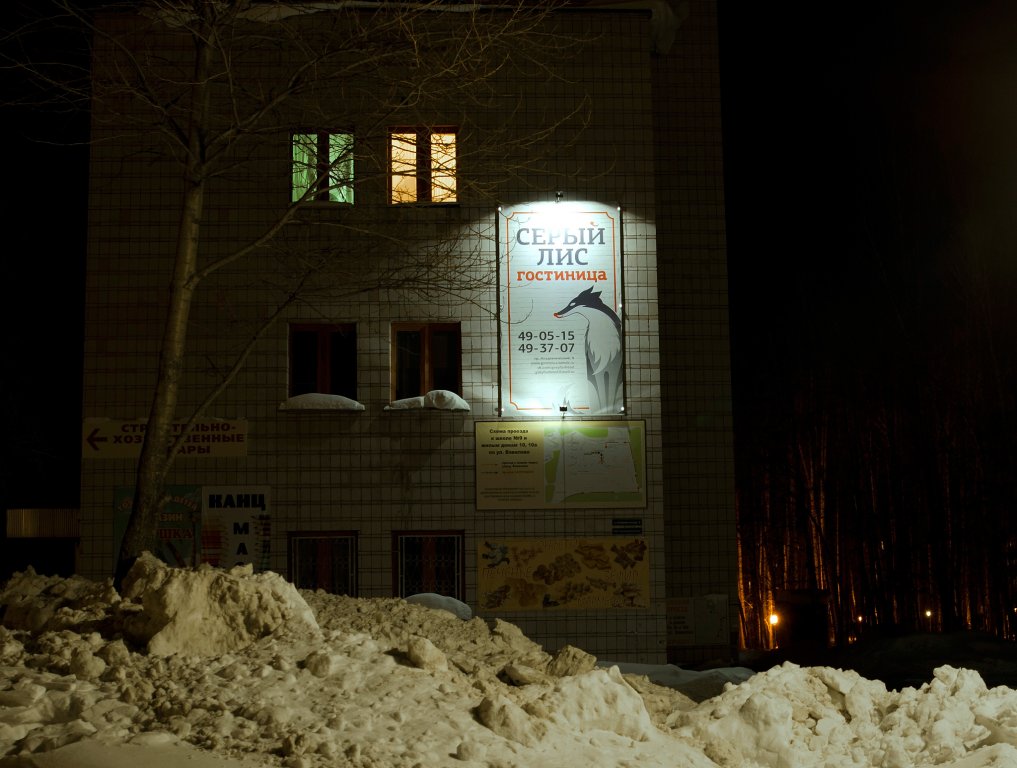 "Серый лис" гостиница в Томске - фото 1