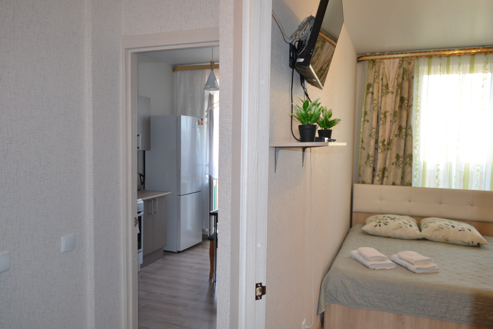1-комнатная квартира Балтийская 101 в Барнауле - фото 8