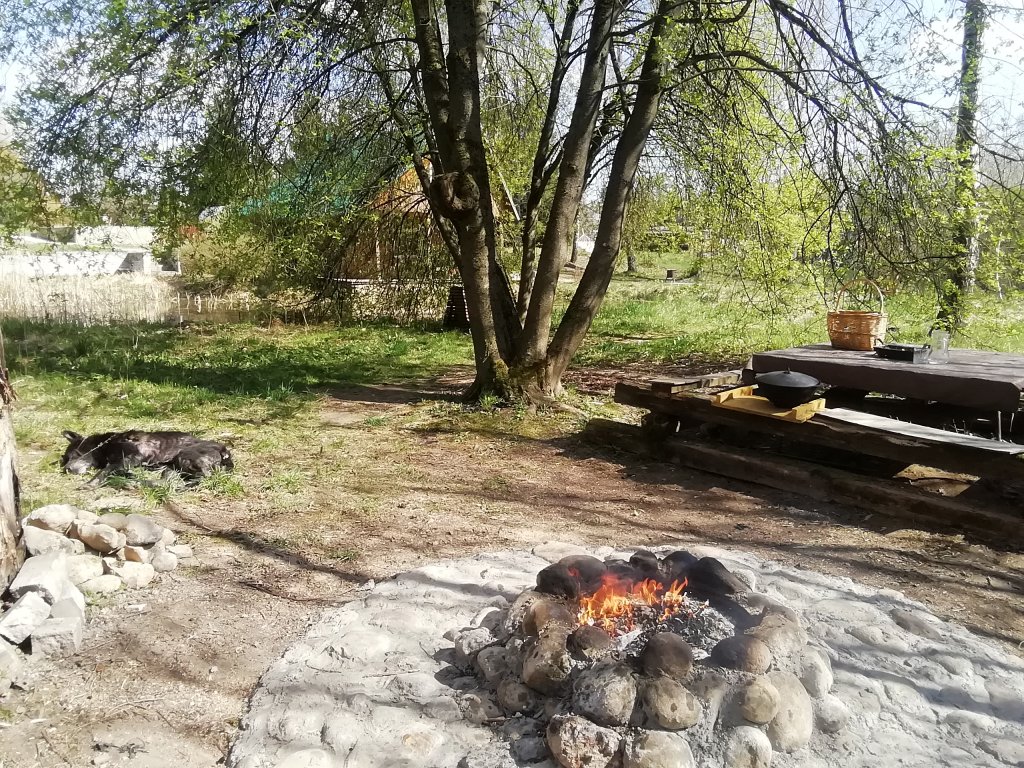 "Тихое счастье" гостевой дом в д. Богородицкое (Смоленск) - фото 10