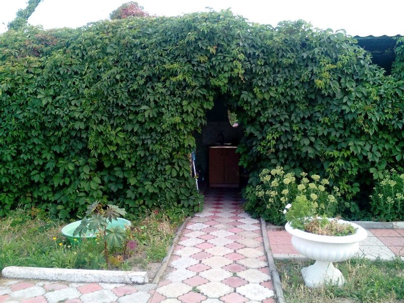 "У Ольги" гостевой дом в Должанской - фото 24