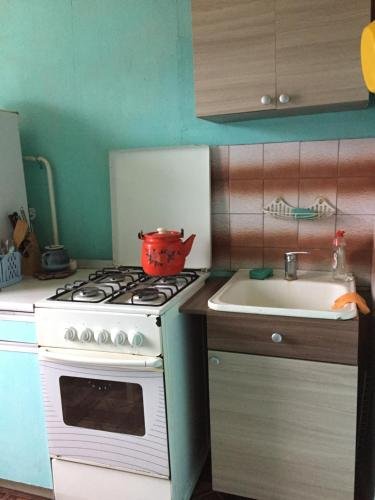 "Homestay" апартаменты в Железногорске - фото 7