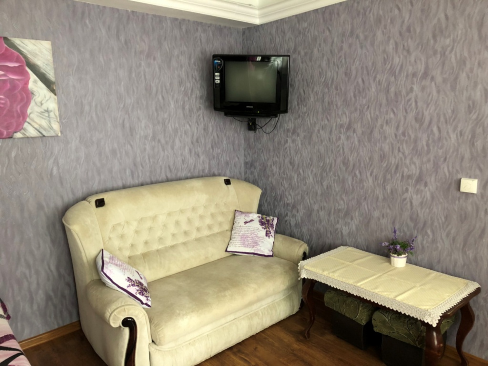 1-комнатная квартира Подвойского 38 в Гурзуфе - фото 3