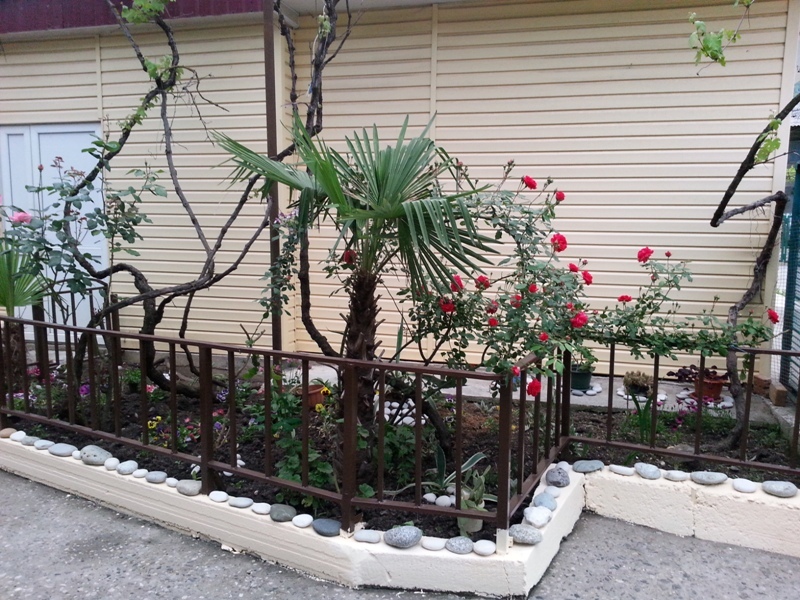 "Орхидея" гостевой дом в Гаграх, ул. Кольцевая, 7 - фото 4