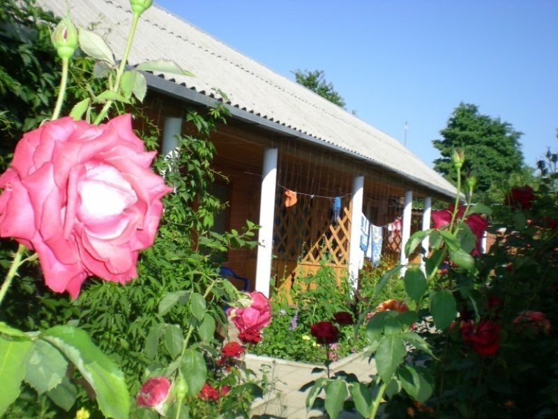 "Астери" гостевой дом в Кучугурах - фото 9