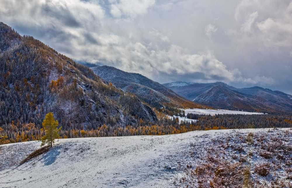 "Инегень" база отдыха в с. Чуйозы (Онгудай) - фото 16