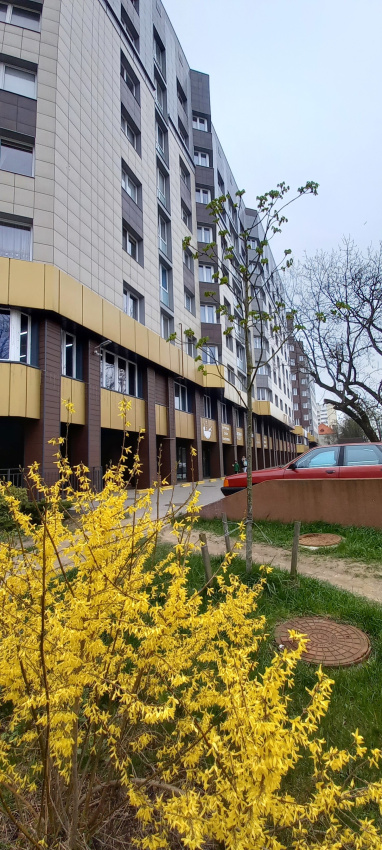 "Советский 81к4" 1-комнатная квартира в Калининграде - фото 18
