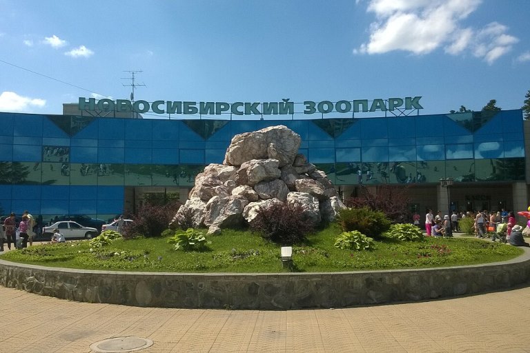1228px-Novosibirsk_zoo_32.jpg