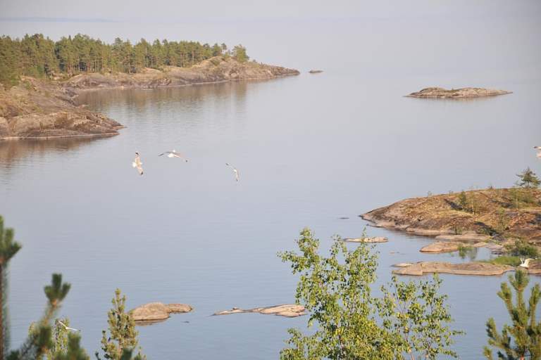 lake-ladoga-landscape-summer.jpg