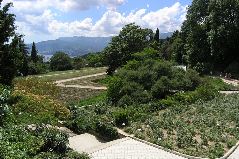 Nikitsky_Botanical_Garden_1.jpg