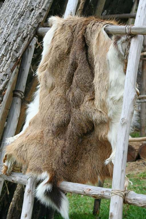 deer-hide-pelt-native-american-fur.jpg