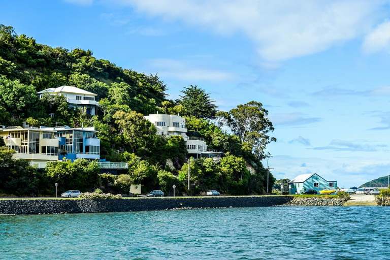 new-zealand-dunedin-beach-ocean.jpg