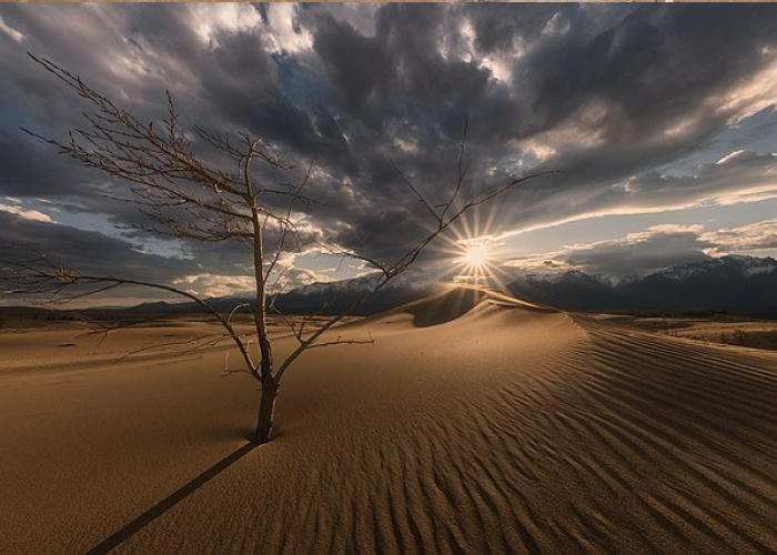 Чарские пески - достопримечательность Забайкальского края