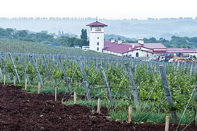 Виноградники Лефкадии - крупный винодельческий комплекс