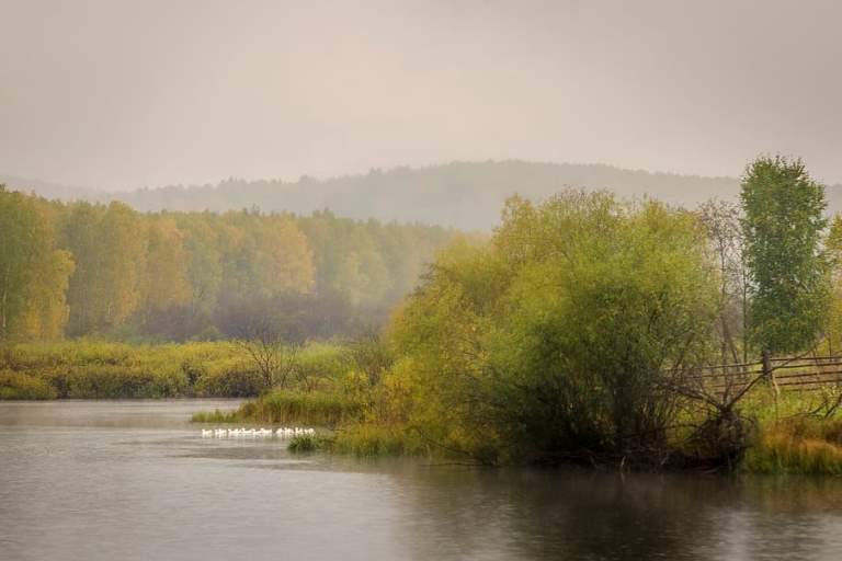 russia-ural-mountains-forest-woods.jpg