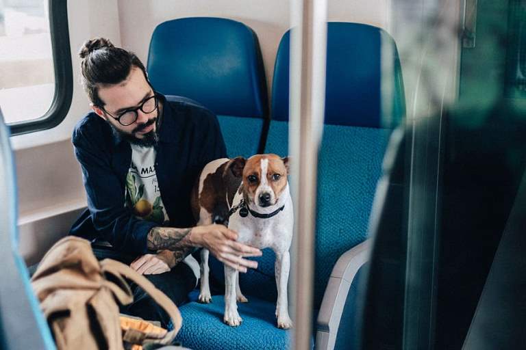 man-sitting-in-train-beside-dog.jpg