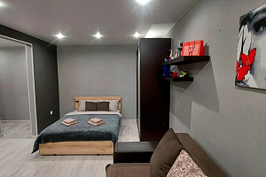 1-комнатная квартира Дружбы 19