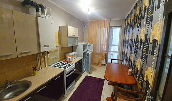 1-комнатная квартира Московская 66 в Зеленоградске - фото 3