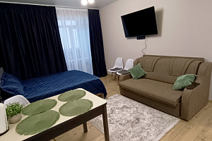 "Классная возле Аквапарка" квартира-студия