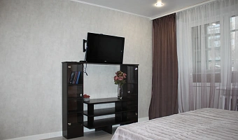 &quot;Квартира на Ворошилова&quot; 1-комнатная квартира в Каменск-Шахтинском - фото 2