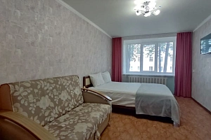Квартира в , 1-комнатная Ленина 16 - фото