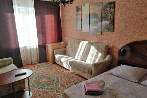 Студия в Рубцовске, 1-комнатная Красная 62 студия - фото