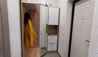 &quot;Appartments on Mira17&quot; 1-комнатная квартира в Чехове - фото 2