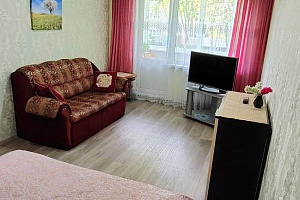Квартиры Байкальска на месяц, "Улучшенной планировки" 1-комнатная на месяц - фото