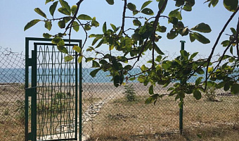Дом у моря «Райский уголок в Абхазии» частный сектор в Новом Афоне - фото 3
