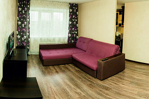 1-комнатная квартира Красноармейский 104 в Барнауле фото 2