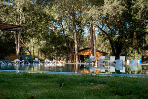 Гостевые дома Сукко с бассейном, "Лес" с бассейном - раннее бронирование