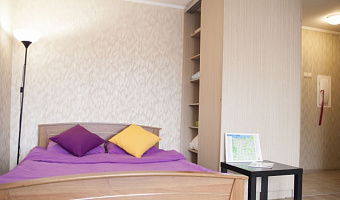 1-комнатная квартира Анохина 37 (№2) в Петрозаводске - фото 5