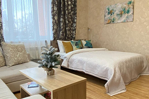 1-комнатная квартира Свердлова 35к2 эт 3