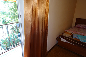 &quot;Золотой лев&quot; мини-гостиница в Сухуме, ул. Дзидзария, 88 фото 12